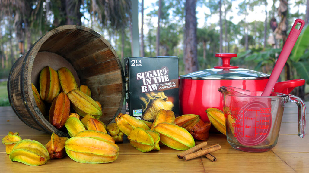 Photo with the ingredients for make starfruit jam.